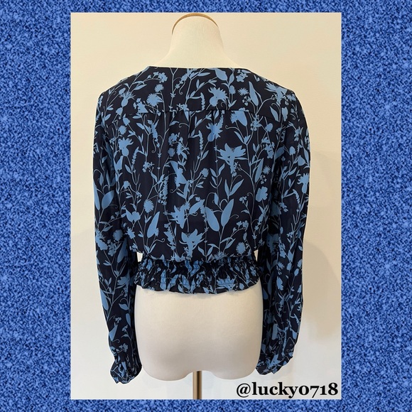 Parker EUC Blue on Navy Kata Long Sleeve Silk Blouse Sz S - Picture 6 of 9